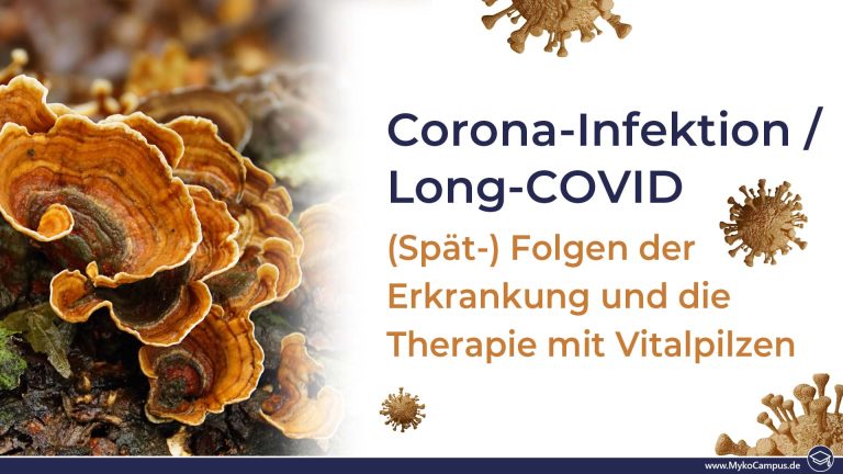 Corona-Infektion / Long-COVID: (Spät-) Folgen der Erkrankung und die Therapie mit Vitalpilzen