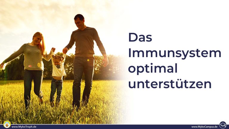 Das Immunsystem optimal unterstützen