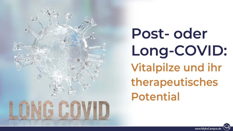 Post- oder Long-COVID: Vitalpilze und ihr therapeutisches Potential