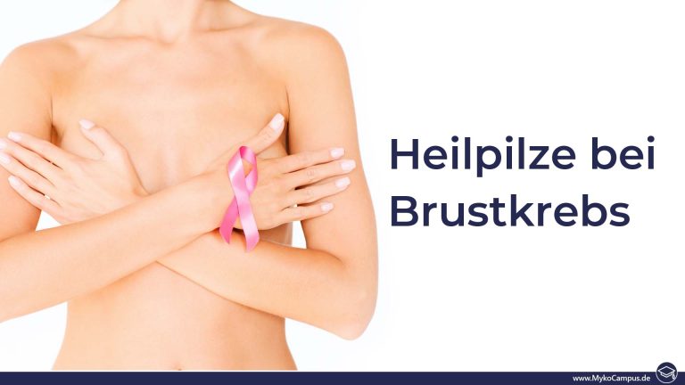 Heilpilze bei Brustkrebs