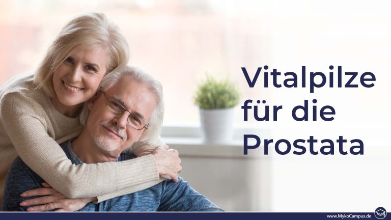Vitalpilze für die Prostata